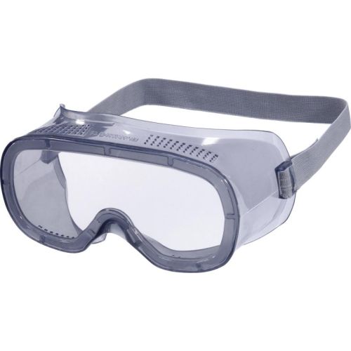 DeltaPlus Muria 1 Clear Polycarbonate Goggles-Direct Ventilation