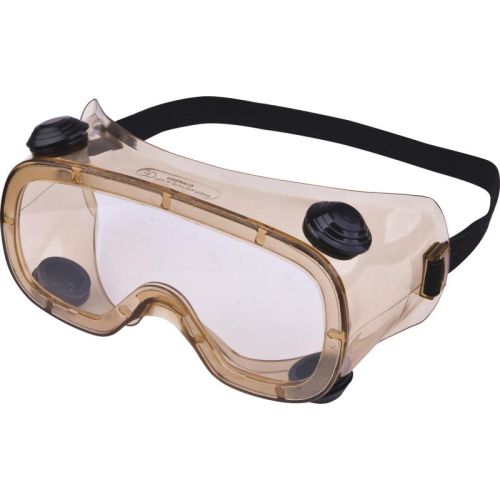 DeltaPlus Ruiz 1 Acetate Clear Acetate Goggles-Indirect Ventilation 