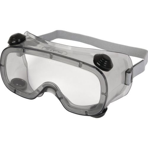 DeltaPlus Ruiz 1 Clear PolyCarbonate Goggles-Indirect Ventilation 