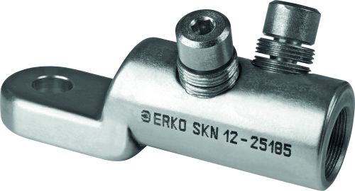 SKN_8-2595/1 Low voltage shear off screw terminal