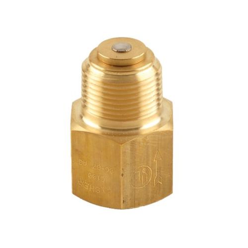 Fisher G100 Series Back Check Valves - G112