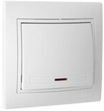  Spring switch 10Ax250V, Frame included, WHITE - ERP20U